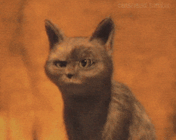 Puss In Boots Oops GIF