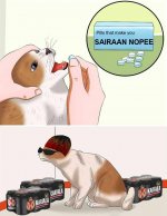 pills that make you sairaan nopee.jpg