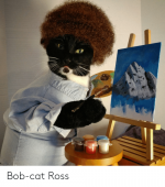 bob-cat-ross-59320833.png