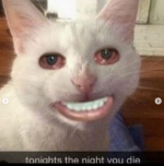 tonights the night you die.png