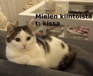 mielen kiintoista.jpg