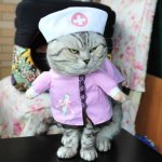 cat_nurse_custome_530x@2x.jpg