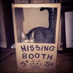hissing booth.jpg