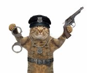 cat-cop-revolver-handcuffs-beige-cat-policeman-wearing-black-hat-police-badge-around-his-neck-...jpg