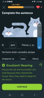 Screenshot_20240913_215600_Duolingo.jpg