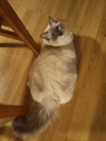 WhatsApp Image 2025-09-01 at 23.44.31.jpeg