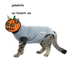 halloween_oloasu.png