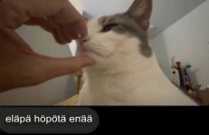 1000049999.jpg