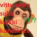 vittu_apina2.jpg