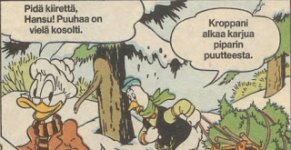 hansupipari.jpg