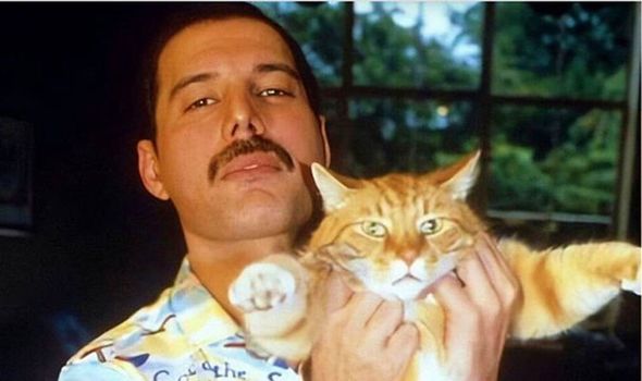 Freddie-Mercury-and-his-cats-Ginger-tom-Oscar-1430748.jpg