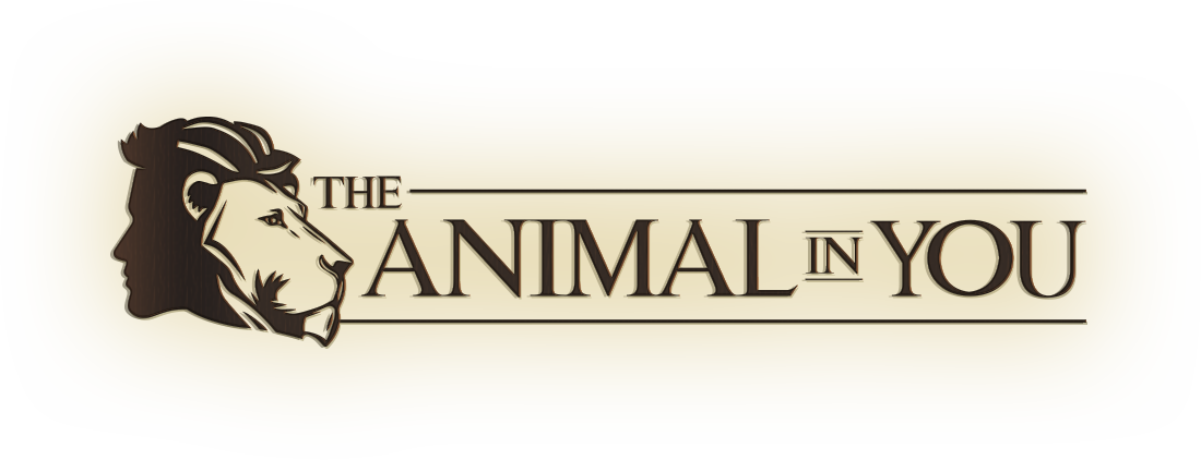 animalinyou.com