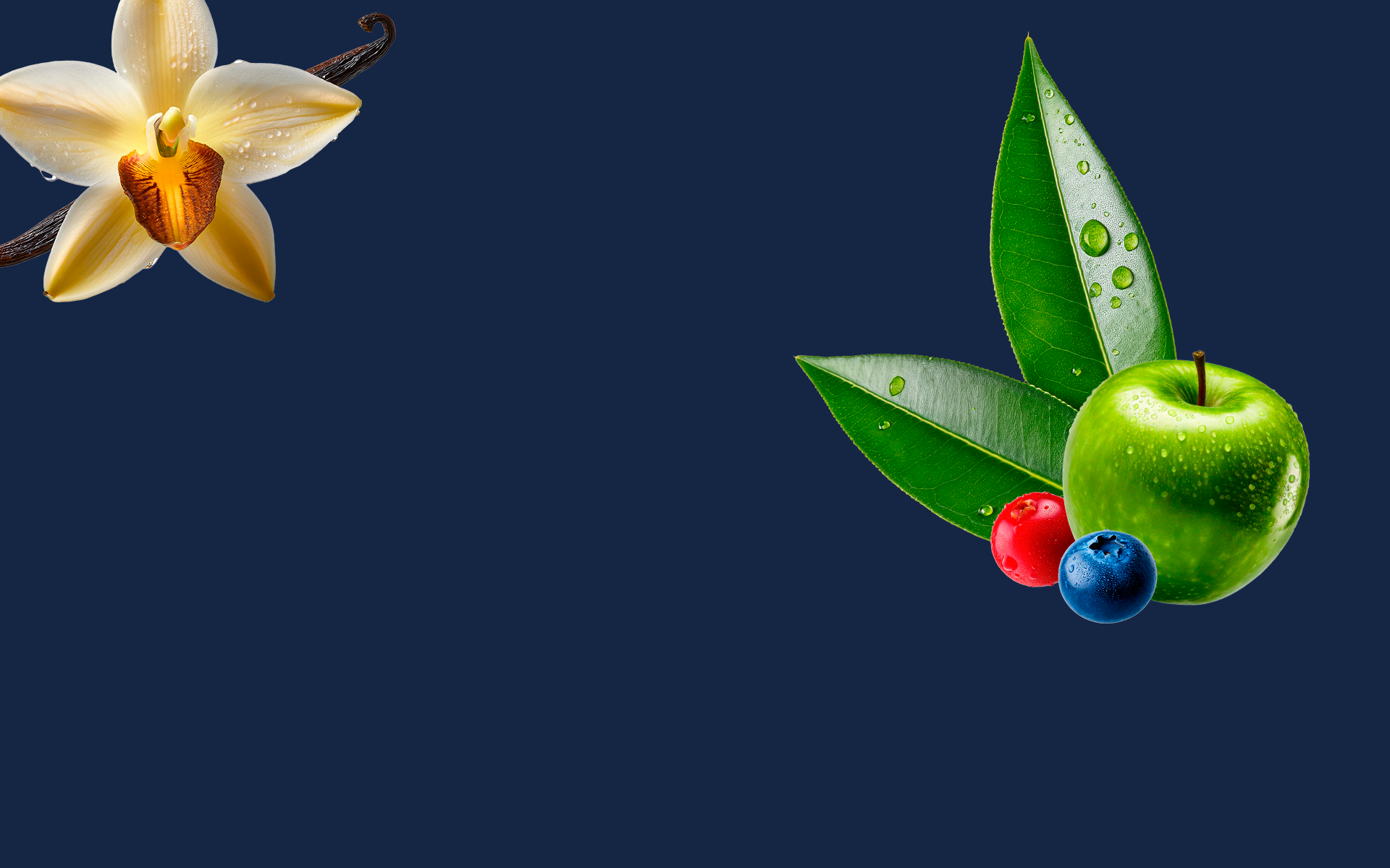 www.xz.fi